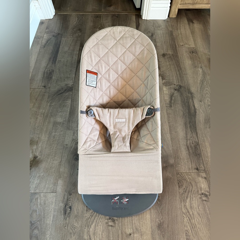 Babybjorn Baby Bouncer